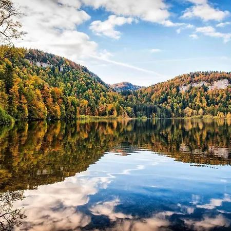 Entre Lacs Et Sapins Appartement *